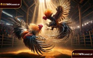 Đá gà Thomo 333WIN