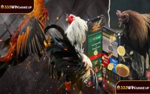 Đá gà trực tiếp 333win