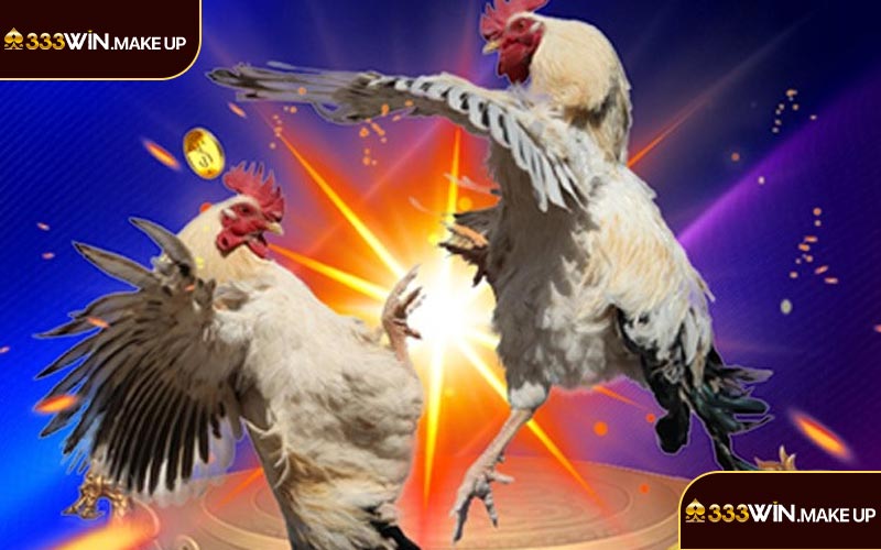 Giới thiệu về sảnh Đá Gà Thomo 333WIN