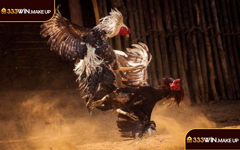 Khám phá nguyên tắc chọi kê trực tiếp quan trọng